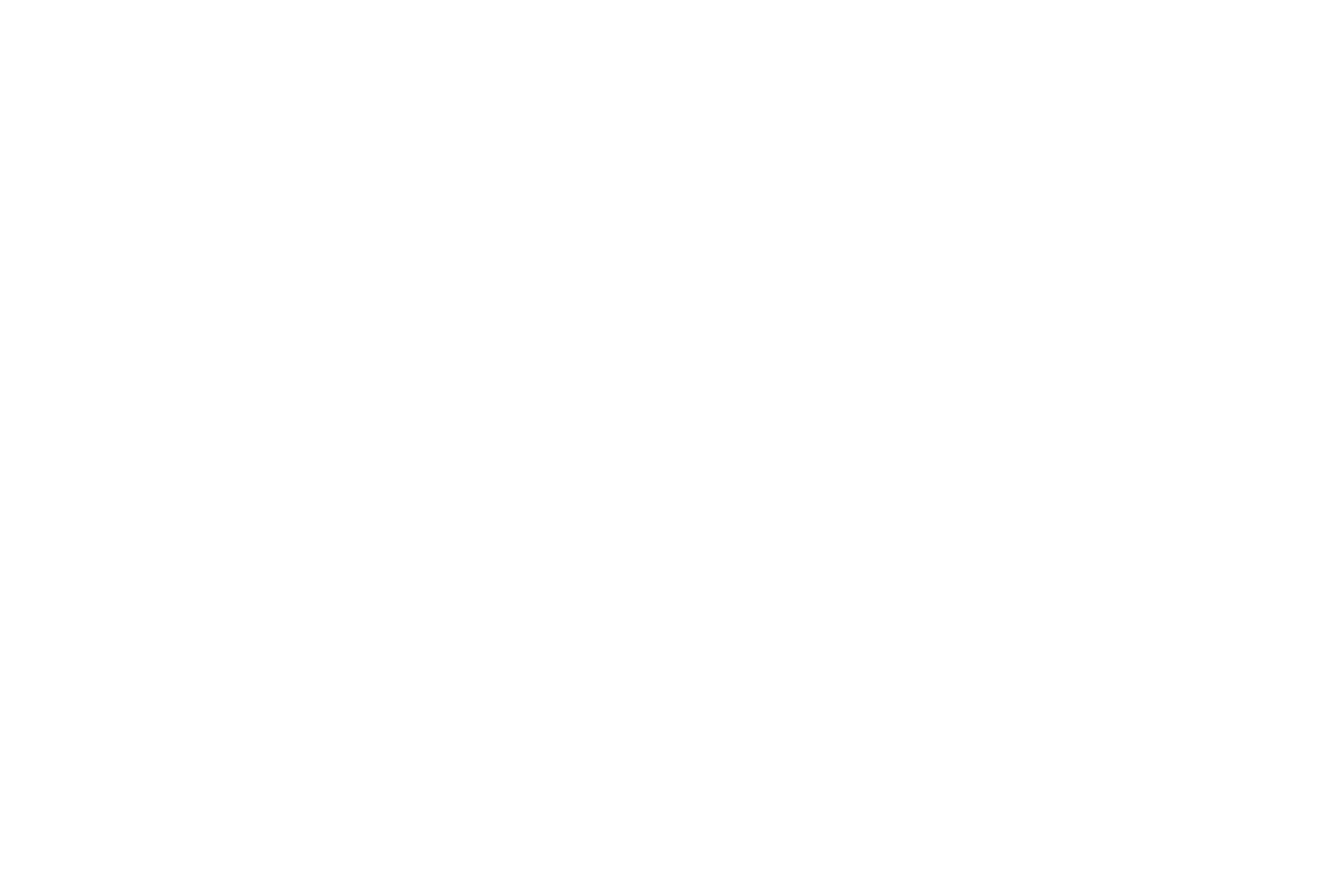 Demasi Auto